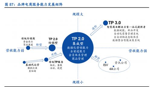 頭部TP的多元化業(yè)務(wù)矩陣 構(gòu)建兼具電商、營(yíng)銷與技術(shù)能力的品牌綜合服務(wù)商